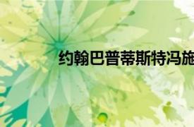 约翰巴普蒂斯特冯施韦泽相关内容简介介绍