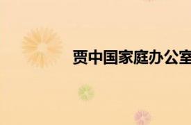 贾中国家庭办公室第一人相关内容简介