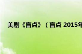 美剧《盲点》（盲点 2015年美国电视剧相关内容简介介绍）