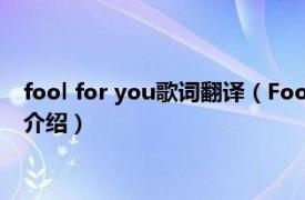 fool for you歌词翻译（Fool for You Duffy单曲相关内容简介介绍）