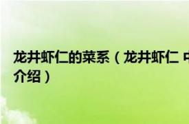 龙井虾仁的菜系（龙井虾仁 中国浙江省杭州市菜品相关内容简介介绍）