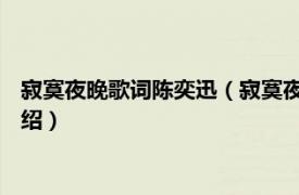 寂寞夜晚歌词陈奕迅（寂寞夜晚 陈奕迅翻唱歌曲相关内容简介介绍）