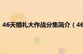 46天婚礼大作战分集简介（46天婚礼大作战相关内容简介介绍）