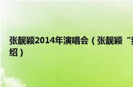 张靓颖2014年演唱会（张靓颖“我相信”中国巡回演唱会相关内容简介介绍）