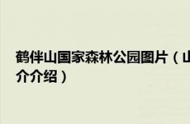 鹤伴山国家森林公园图片（山东鹤伴山国家森林公园相关内容简介介绍）