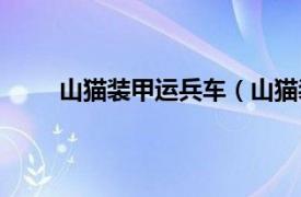 山猫装甲运兵车（山猫装甲车相关内容简介介绍）