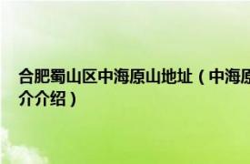 合肥蜀山区中海原山地址（中海原山 位于合肥市蜀山区的楼盘相关内容简介介绍）