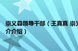 崇义县领导干部（王真真 崇义县人民政府办公室主任相关内容简介介绍）