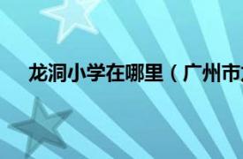 龙洞小学在哪里（广州市龙洞小学相关内容简介介绍）