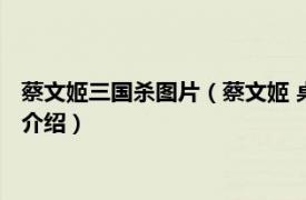 蔡文姬三国杀图片（蔡文姬 桌游《三国杀》武将牌相关内容简介介绍）