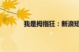 我是拇指狂：新浪短信手指通相关内容简介