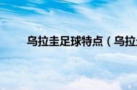 乌拉圭足球特点（乌拉圭足球相关内容简介介绍）