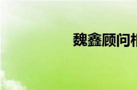 魏鑫顾问相关内容简介