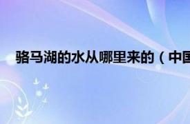 骆马湖的水从哪里来的（中国水城骆马湖相关内容简介介绍）