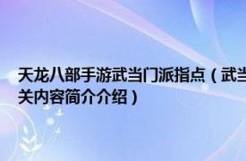 天龙八部手游武当门派指点（武当 游戏《天龙八部手游》中的门派职业相关内容简介介绍）