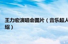 王力宏演唱会图片（音乐超人 王力宏演唱会造型相关内容简介介绍）