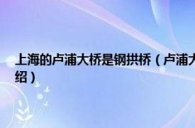 上海的卢浦大桥是钢拱桥（卢浦大桥的10个“世界之最”相关内容简介介绍）