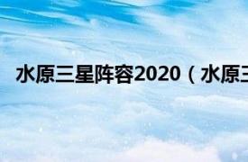 水原三星阵容2020（水原三星后备队相关内容简介介绍）