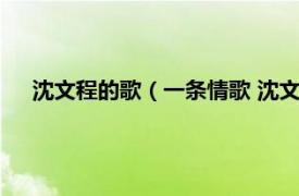 沈文程的歌（一条情歌 沈文程演唱歌曲相关内容简介介绍）