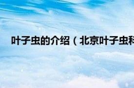 叶子虫的介绍（北京叶子虫科技有限公司相关内容简介介绍）