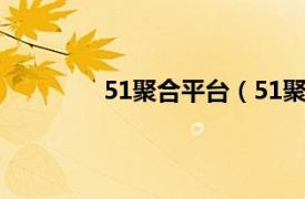 51聚合平台（51聚网相关内容简介介绍）