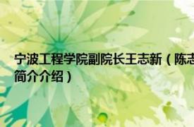 宁波工程学院副院长王志新（陈志荣 宁波工程学院理学院副教授相关内容简介介绍）