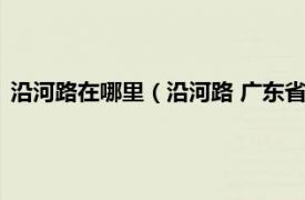 沿河路在哪里（沿河路 广东省东莞市沿河路相关内容简介介绍）