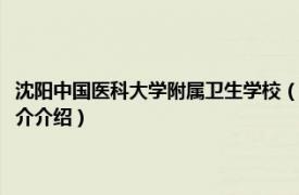 沈阳中国医科大学附属卫生学校（辽宁沈阳医学院附属卫生学校相关内容简介介绍）