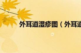 外耳道湿疹图（外耳道湿疹相关内容简介介绍）