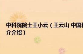 中科院院士王小云（王云山 中国科学院过程工程研究所研究员相关内容简介介绍）