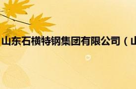 山东石横特钢集团有限公司（山东石横特钢厂相关内容简介介绍）