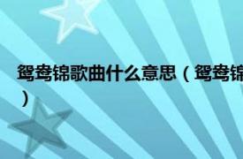 鸳鸯锦歌曲什么意思（鸳鸯锦 刘紫玲演唱歌曲相关内容简介介绍）