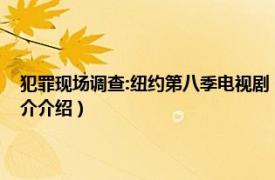 犯罪现场调查:纽约第八季电视剧（犯罪现场调查：纽约第八季相关内容简介介绍）