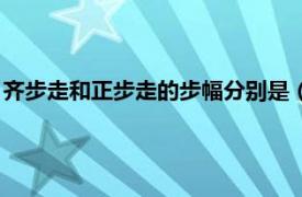 齐步走和正步走的步幅分别是（正步走齐步走相关内容简介介绍）