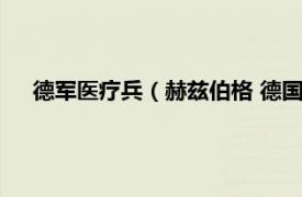 德军医疗兵（赫兹伯格 德国国防军军医相关内容简介介绍）