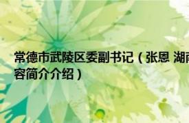 常德市武陵区委副书记（张恩 湖南省常德市武陵区人民政府副区长相关内容简介介绍）