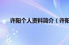 许阳个人资料简介（许阳 艺术家相关内容简介介绍）