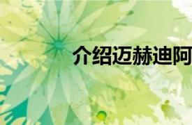 介绍迈赫迪阿马尔的相关内容