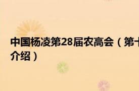 中国杨凌第28届农高会（第十六届中国杨凌农高会相关内容简介介绍）