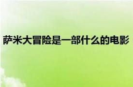 萨米大冒险是一部什么的电影（萨米大冒险1相关内容简介介绍）