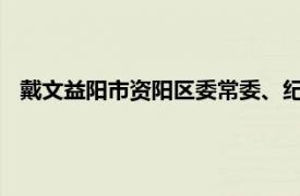 戴文益阳市资阳区委常委、纪委书记、监委主任相关内容简介