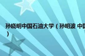 孙晓明中国石油大学（孙明波 中国石油大学 华东副教授相关内容简介介绍）