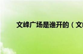 文峰广场是谁开的（文峰广场相关内容简介介绍）