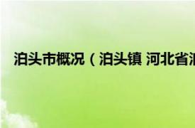 泊头市概况（泊头镇 河北省泊头市泊头镇相关内容简介介绍）