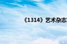 《1314》艺术杂志对话栏目相关内容介绍