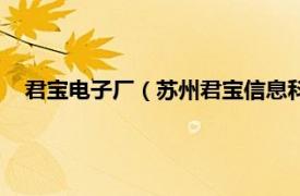 君宝电子厂（苏州君宝信息科技有限公司相关内容简介介绍）