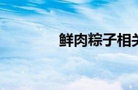 鲜肉粽子相关内容简介介绍