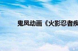 鬼凤动画《火影忍者疾风传》角色相关内容介绍