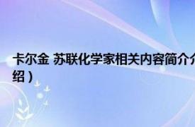 卡尔金 苏联化学家相关内容简介介绍（卡尔金 苏联化学家相关内容简介介绍）