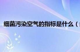 细菌污染空气的指标是什么（细菌污染指标相关内容简介介绍）